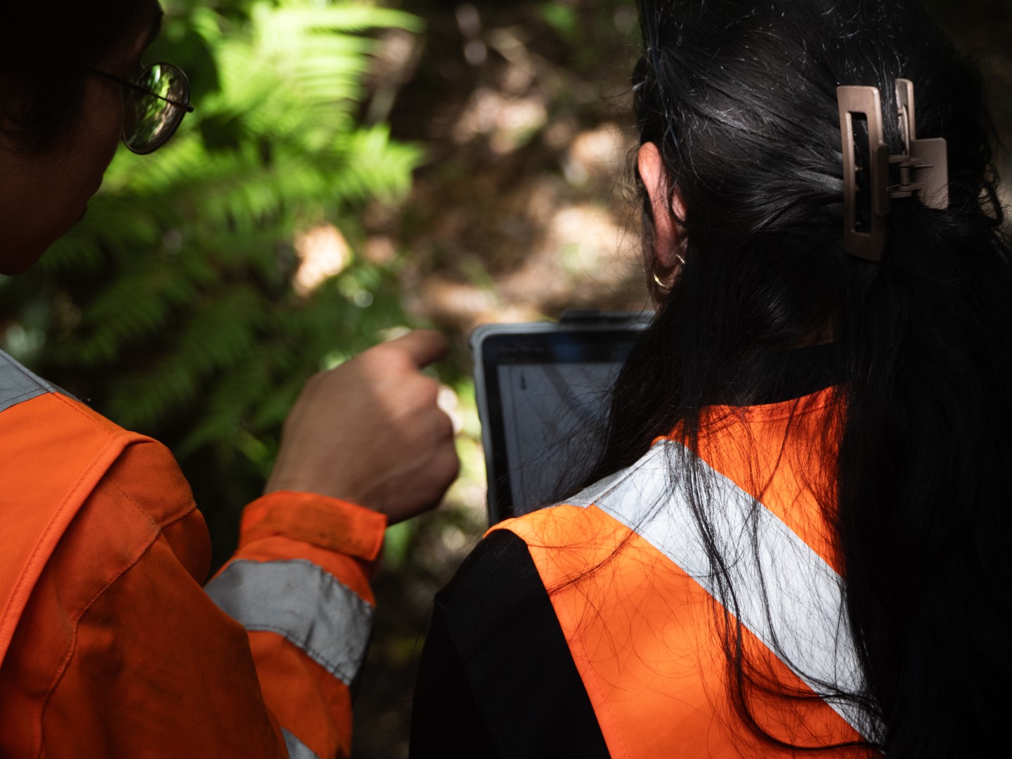 Managing assets, assessing conditions and collecting data for infrastructure