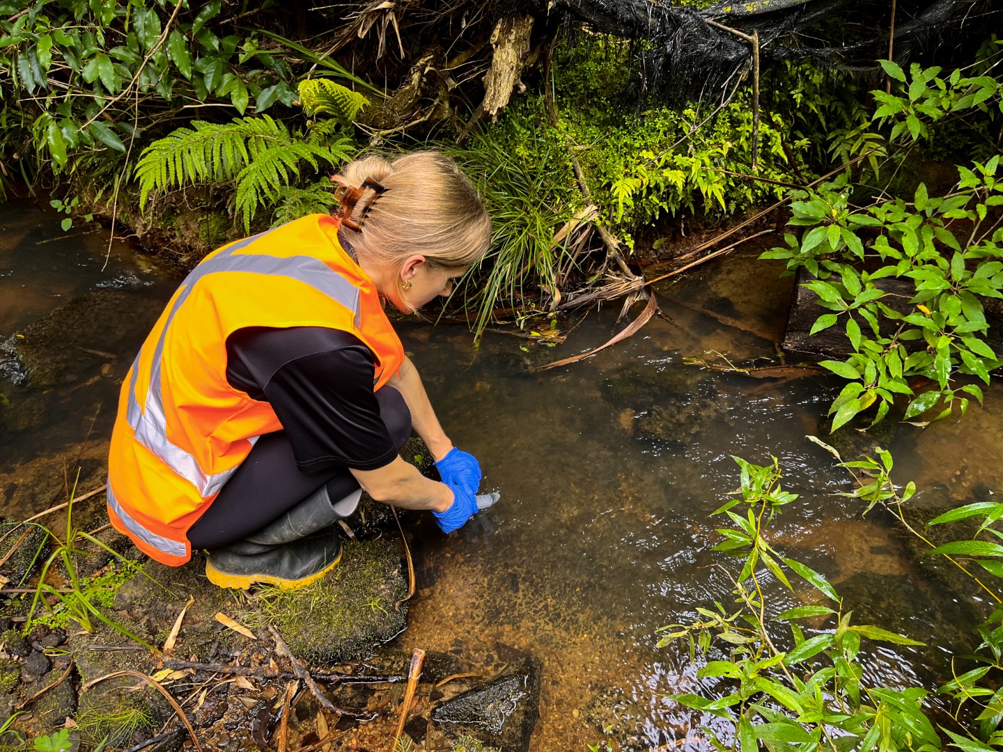 Help shape healthier freshwater environments and build your career alongside leading environmental specialists.