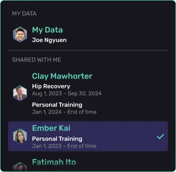 An example of how a person can pick which data that was shared with them to look at.