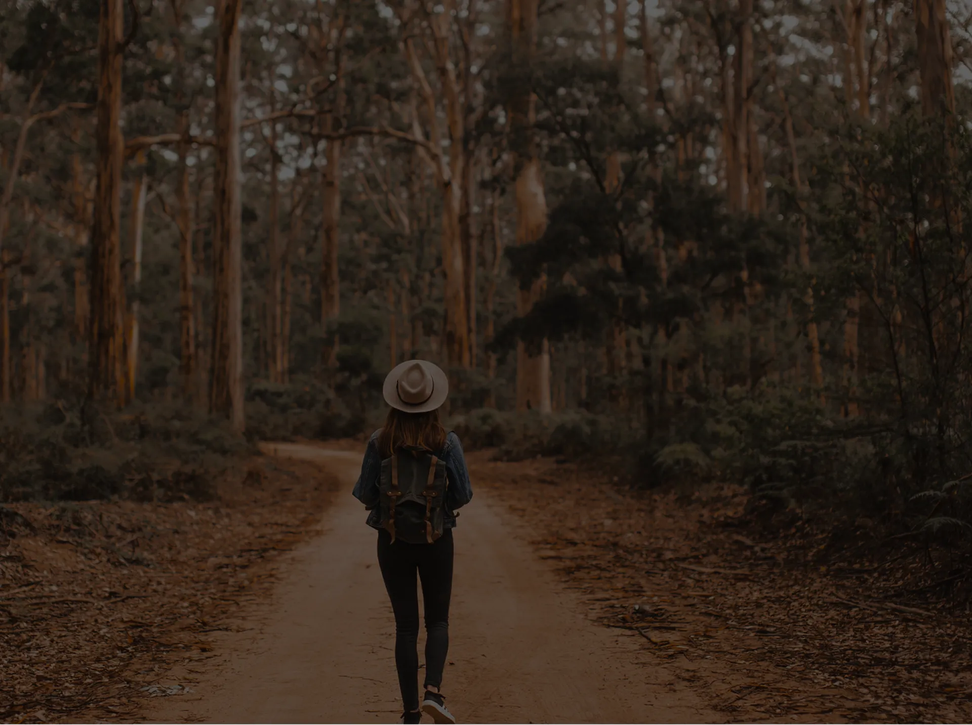 A person walking on a path in the woods