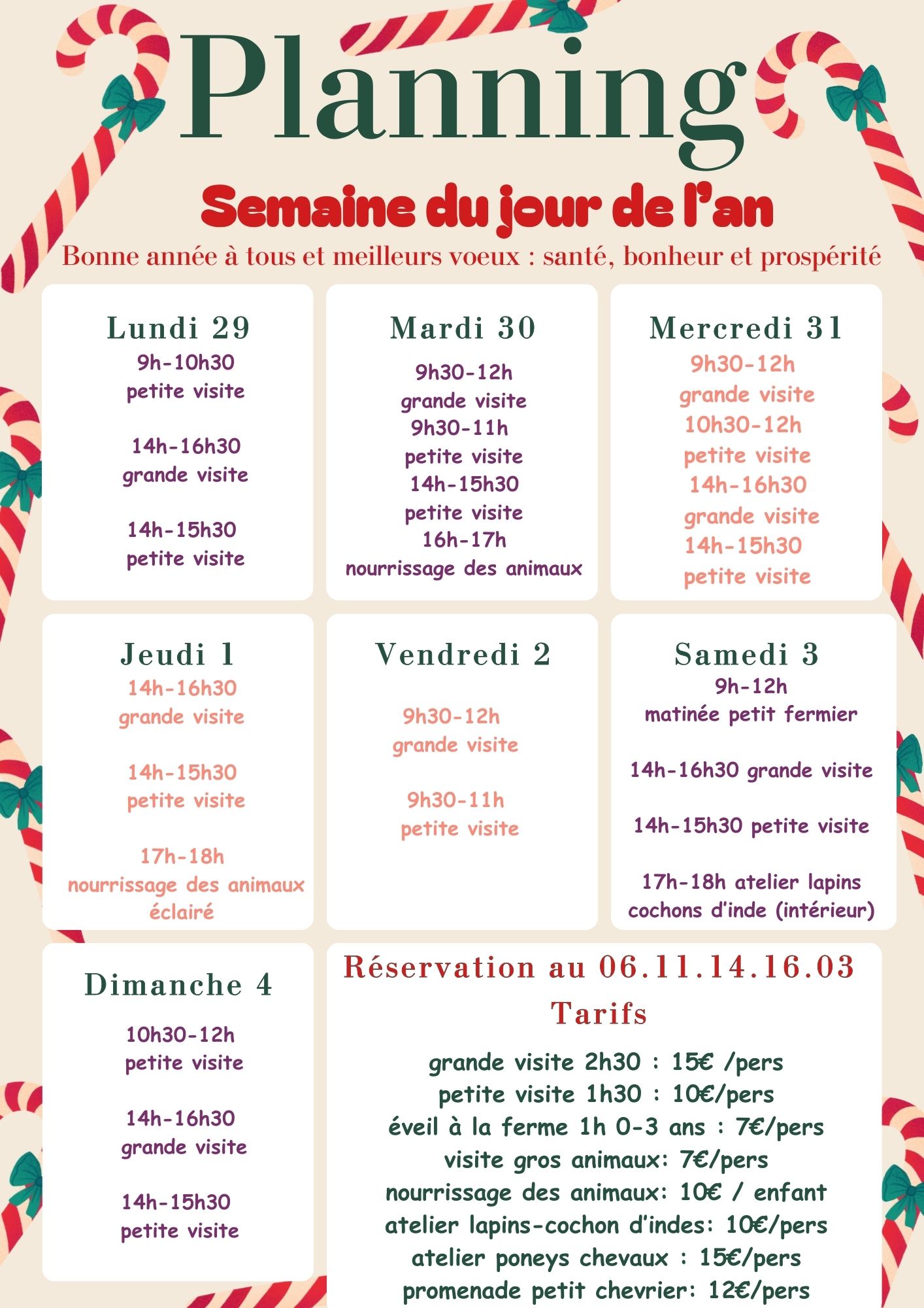 Planning vacances de décembre, semaine du jour de l'an