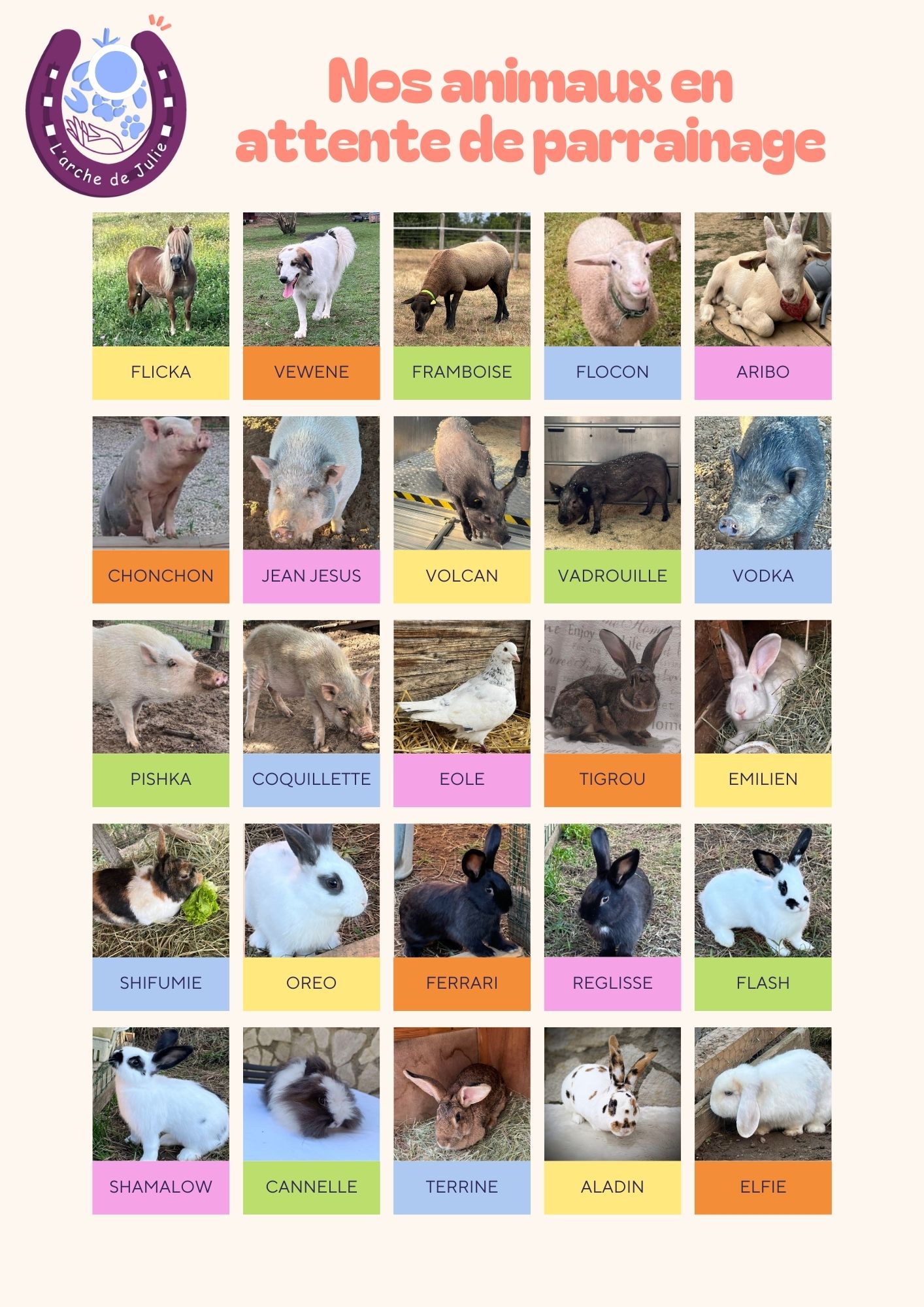 Nos animaux en attente de parrainage