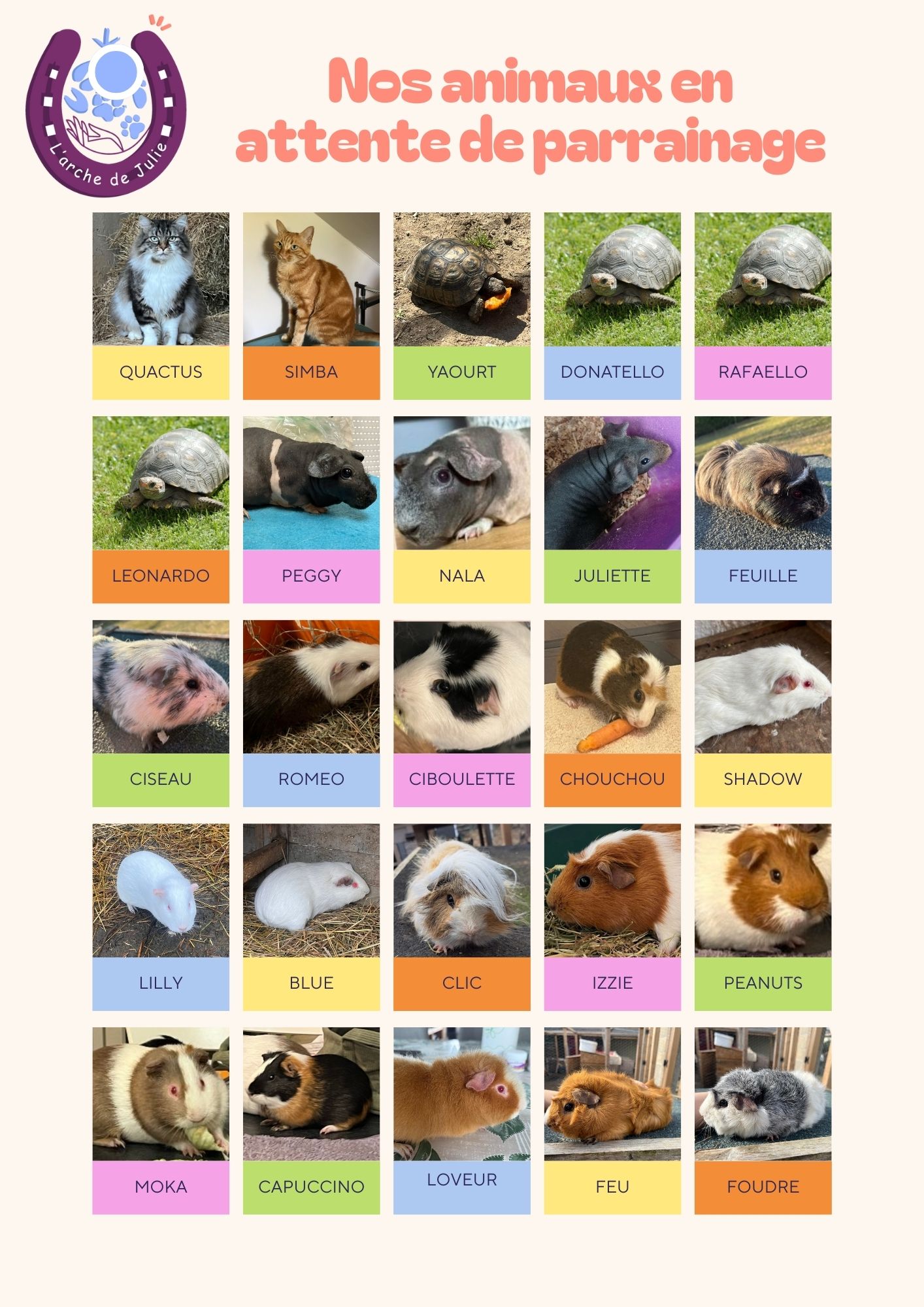 Nos animaux en attente de parrainage
