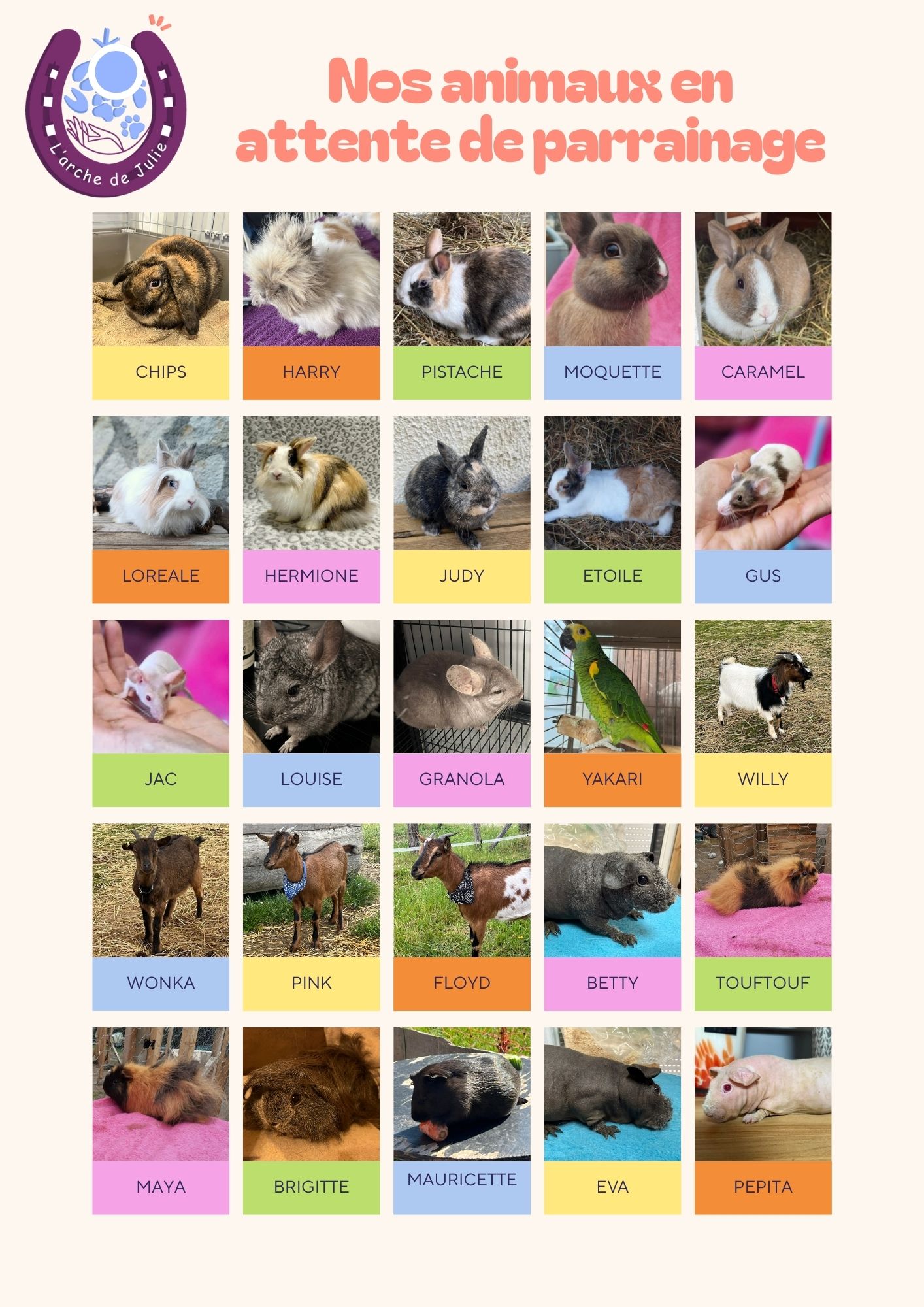 Nos animaux en attente de parrainage