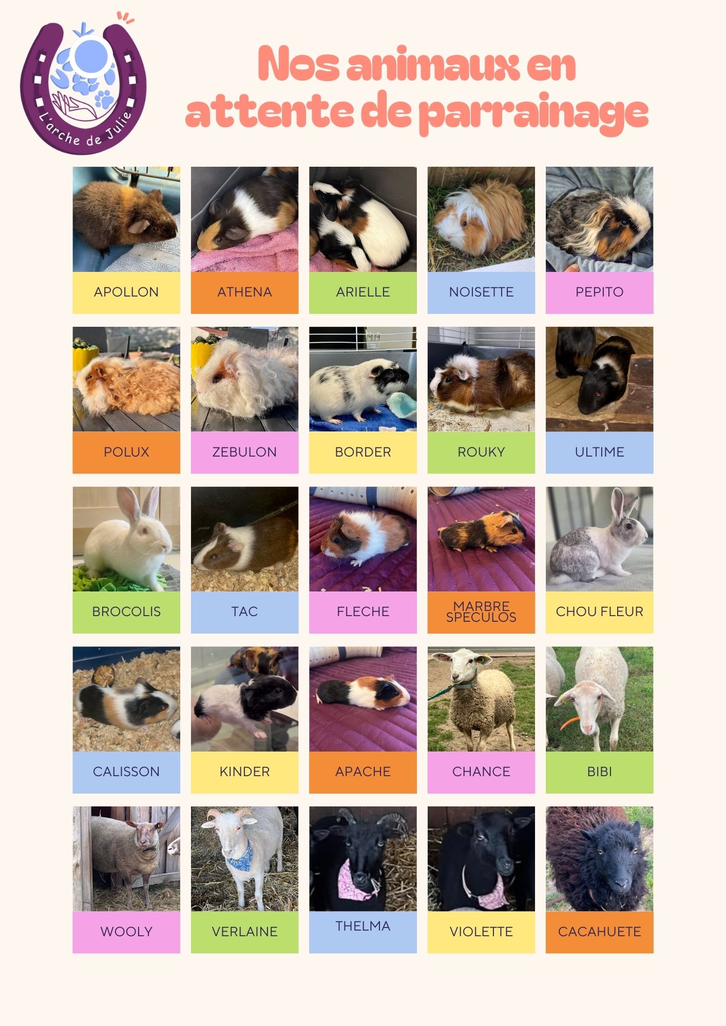 Nos animaux en attente de parrainage