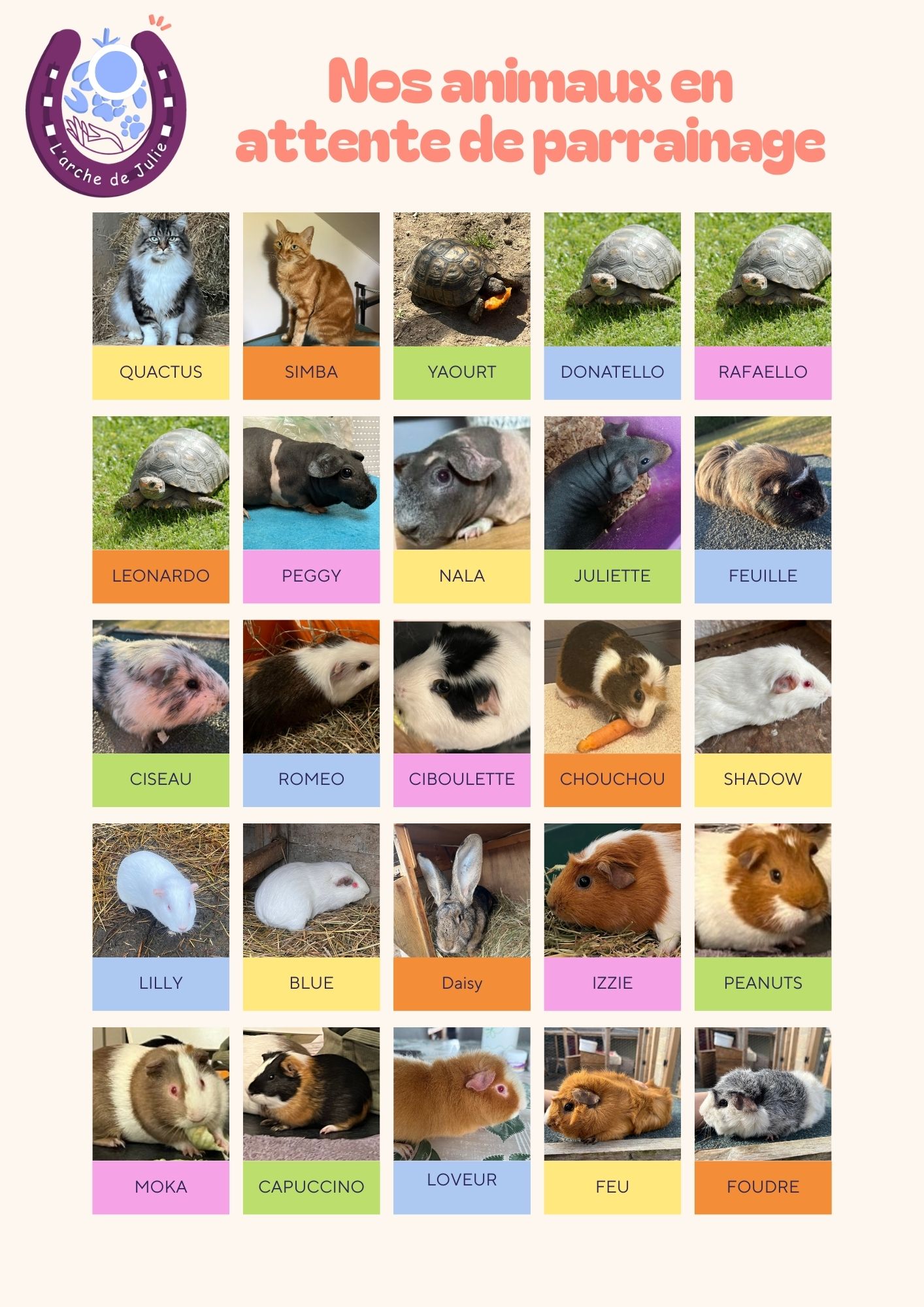 Nos animaux en attente de parrainage