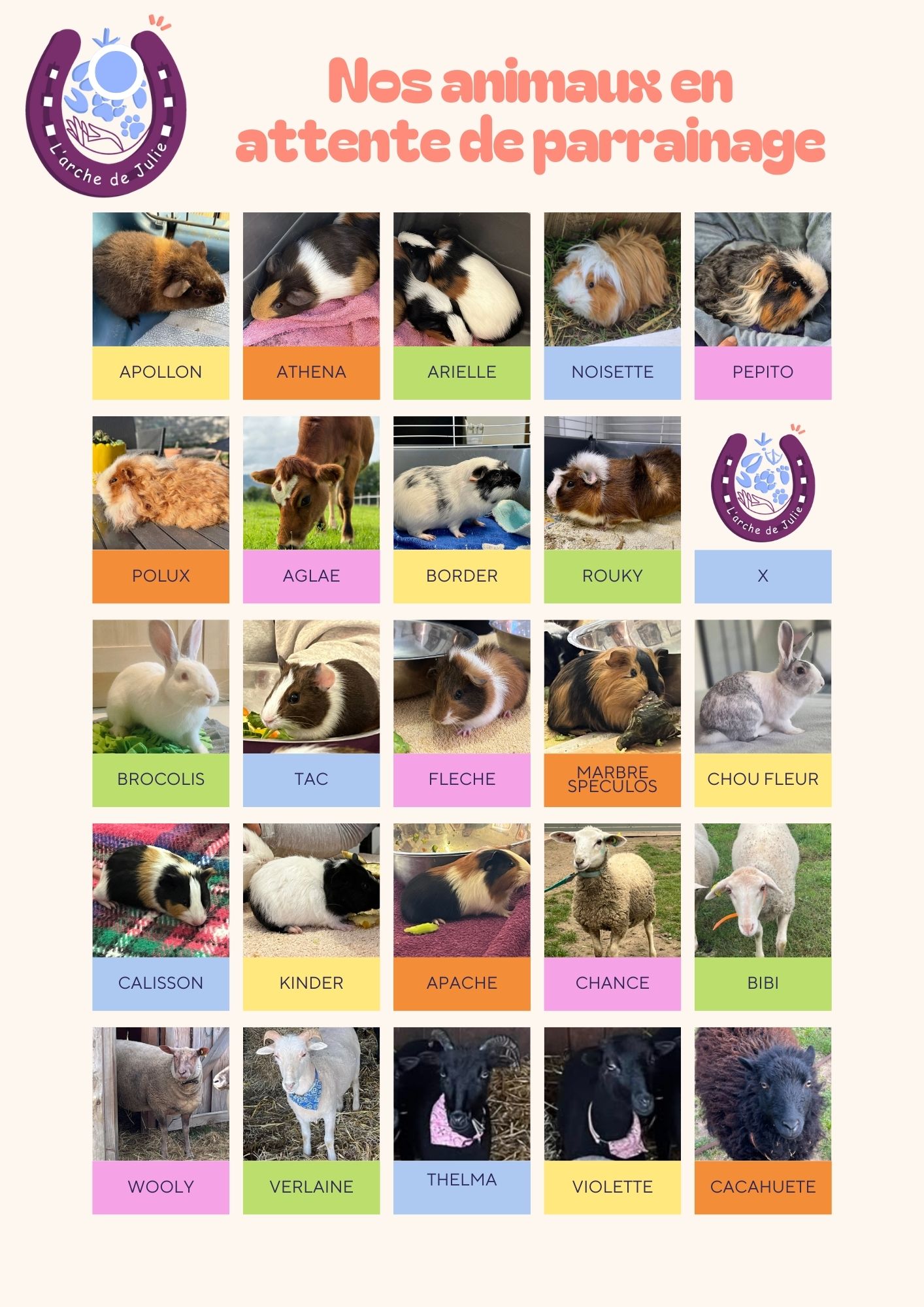 Nos animaux en attente de parrainage