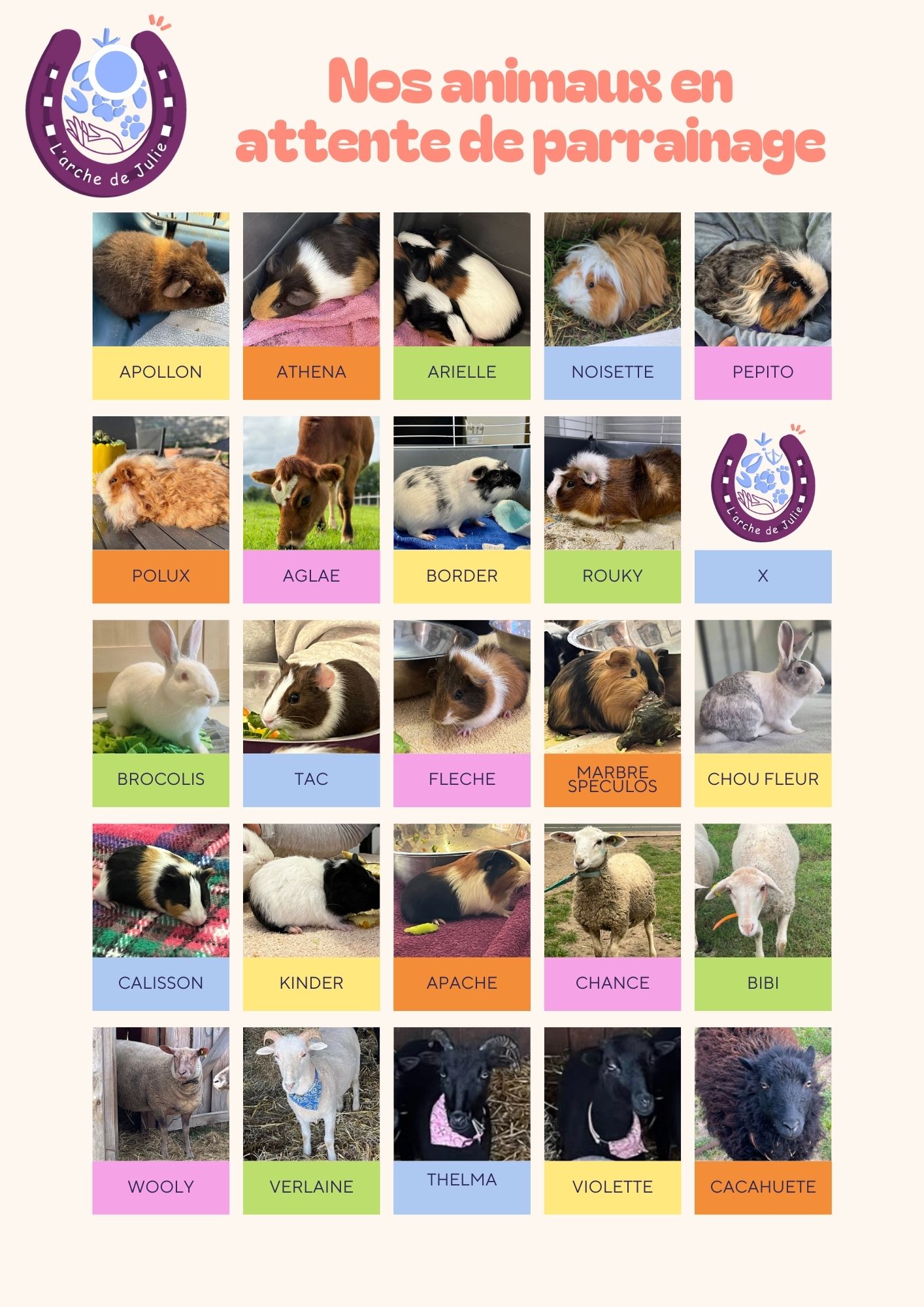 Nos animaux en attente de parrainage