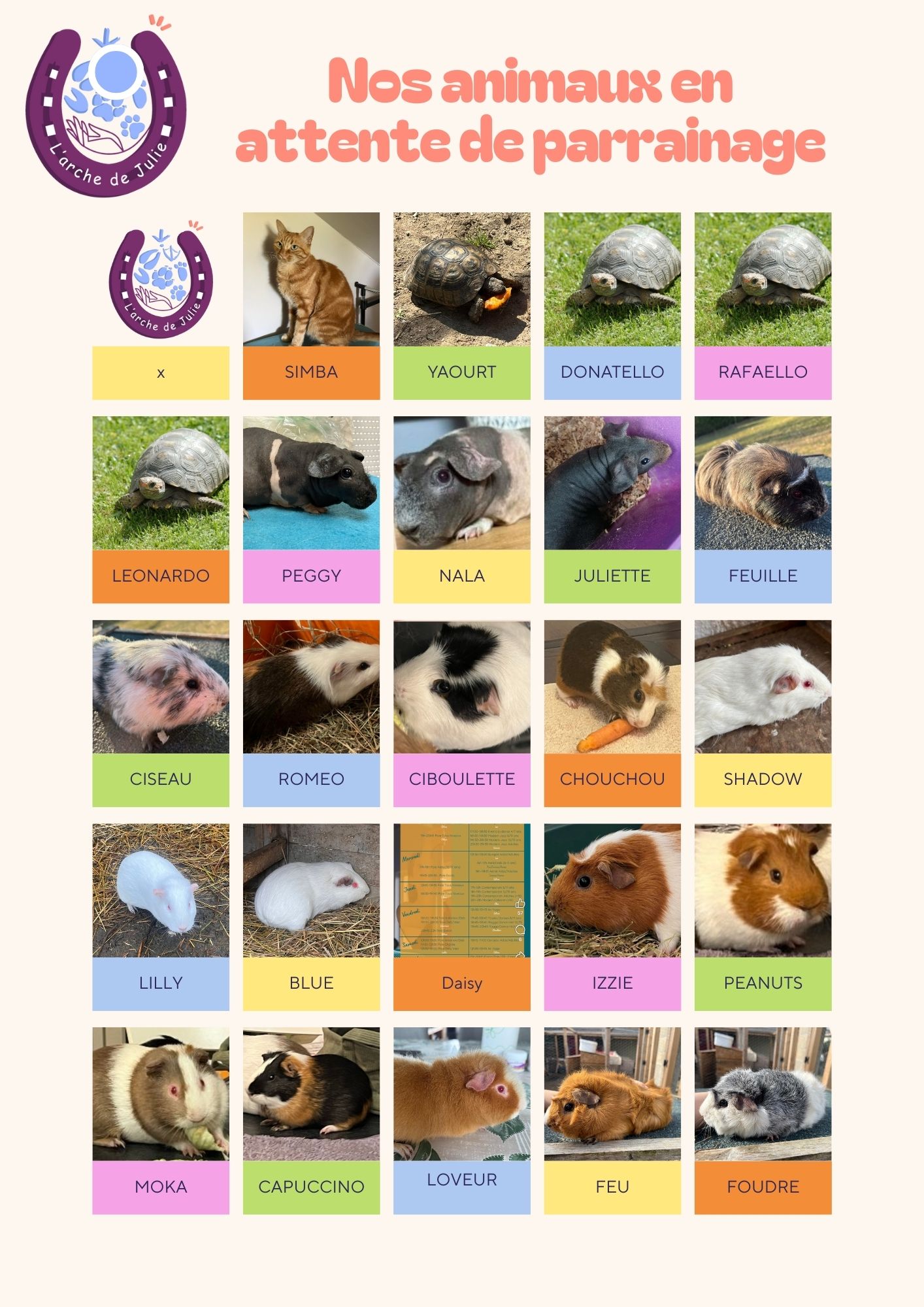 Nos animaux en attente de parrainage