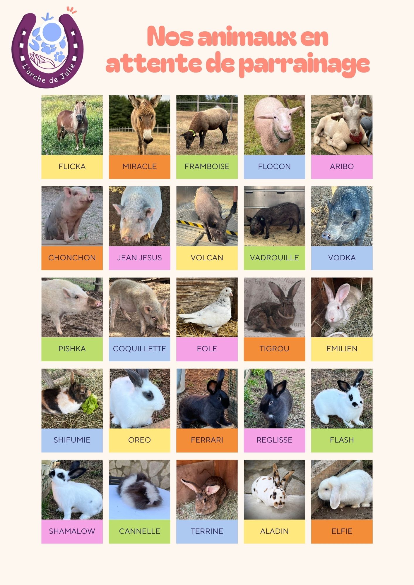 Nos animaux en attente de parrainage