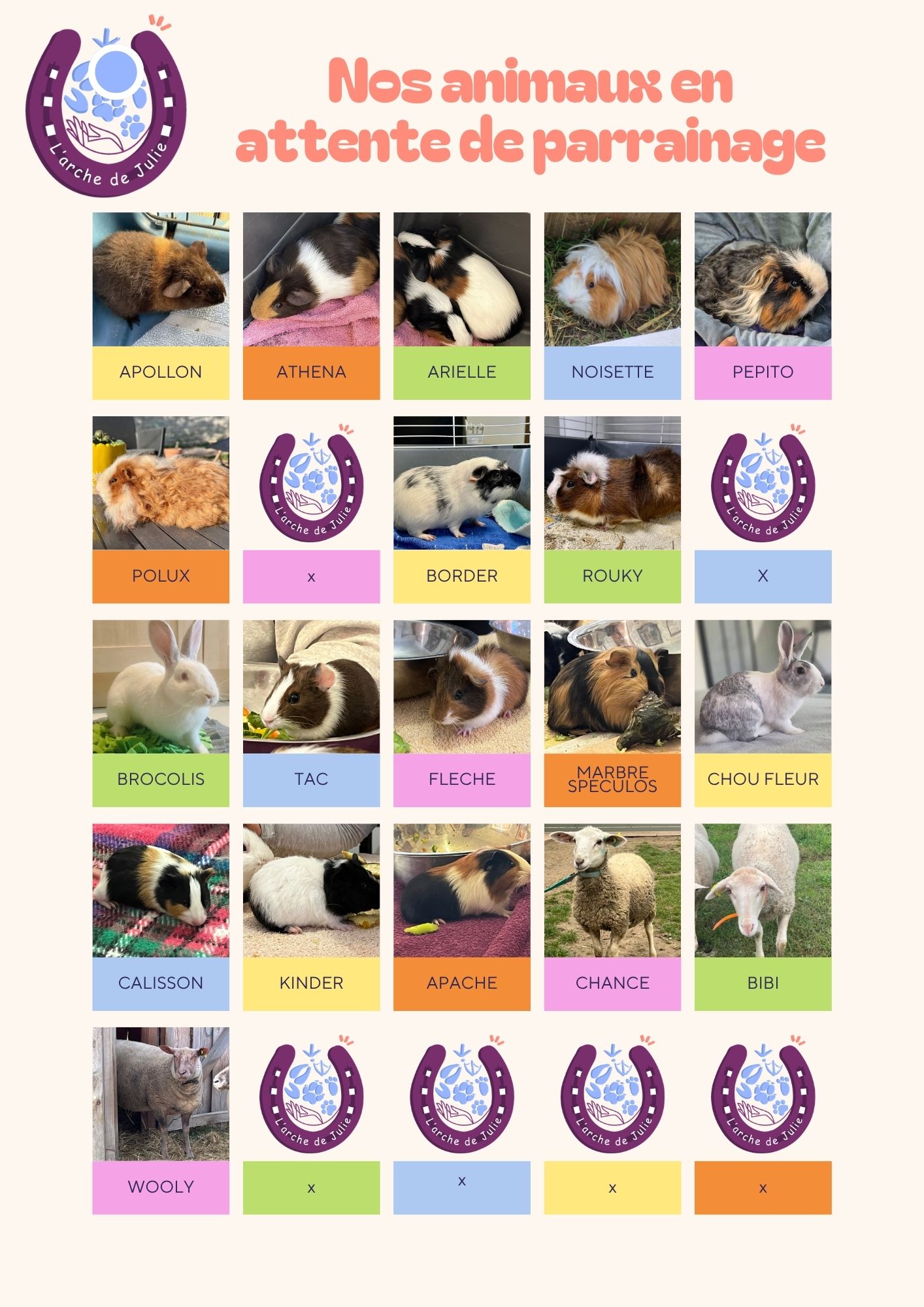 Nos animaux en attente de parrainage