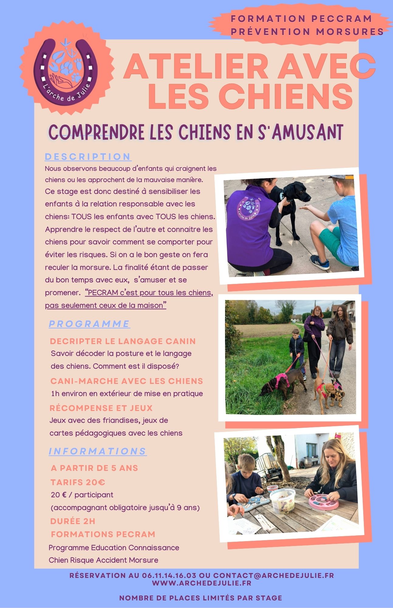 Atelier avec les chiens "comprendre les chiens en s'amusant"