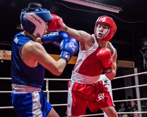 amateur boxing fight