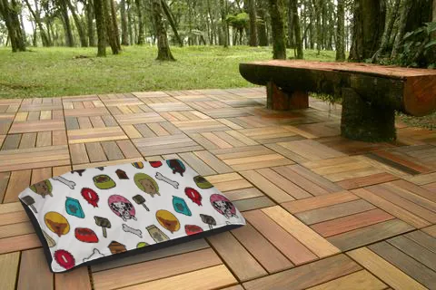 pet bed with bones, food bowls in bright colored circles with an outdoor background