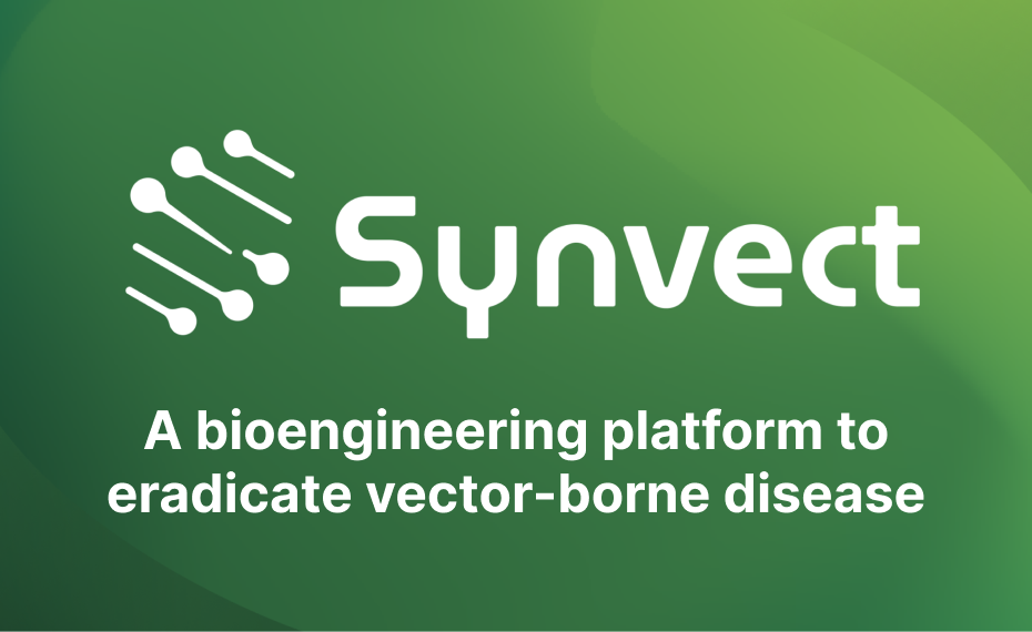 Synvect | The World Leading....