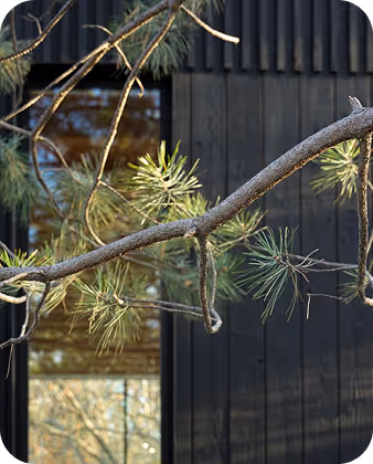 Hospitality cabins for boutique restreats