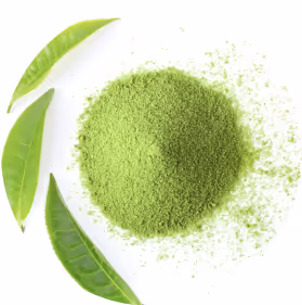 Matcha Green Tea