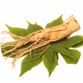 Ginseng