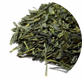 Sencha Green Tea