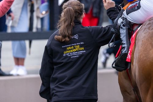 Punchestown Kidney Research Fund - Press Release 2025!