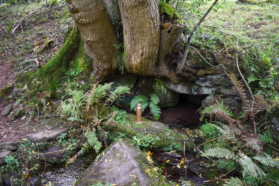 Cae Mabon Well