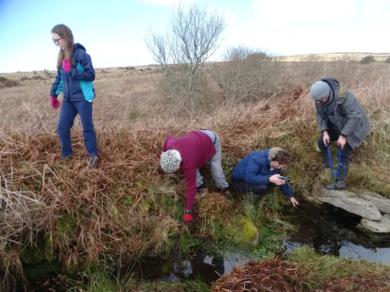 Little People’s Well
