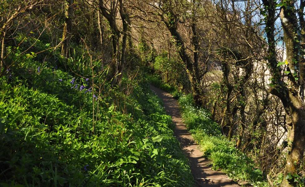 Lelant footpath