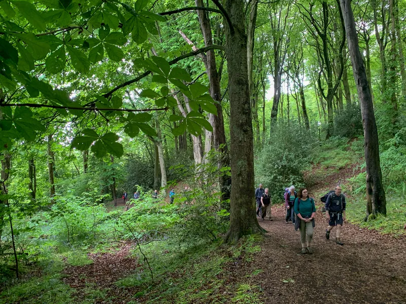 Durham University Wood