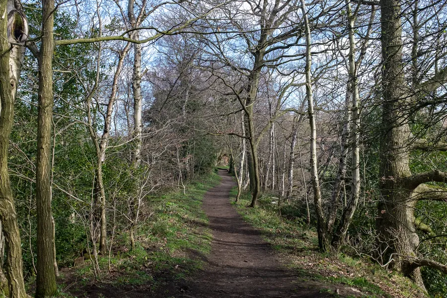 The Waggonsway, Houghall