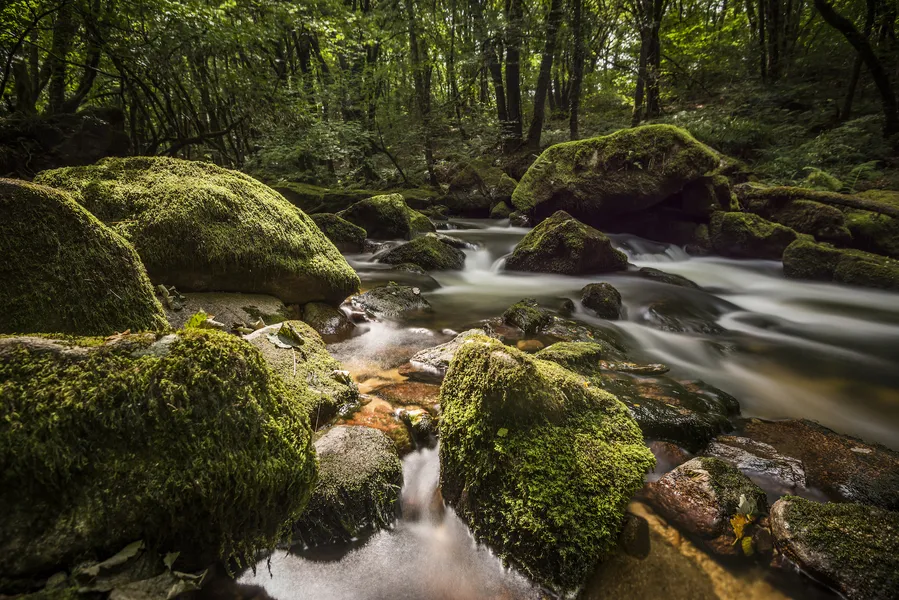 The river fowey flows through Golitha Falls, Cornwall,