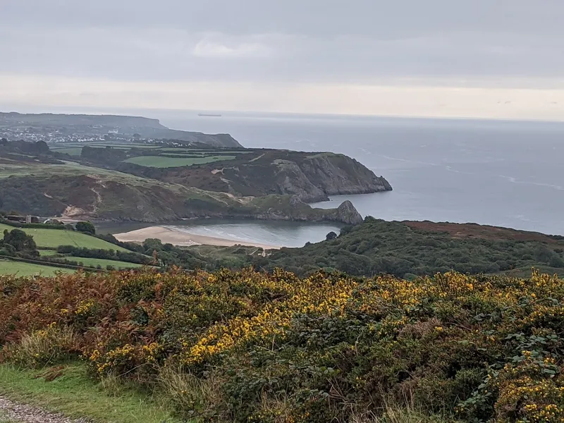 Three Cliffs Bay from Cefn Bryn