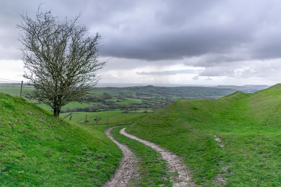 Chalk path on Eggardon Hill