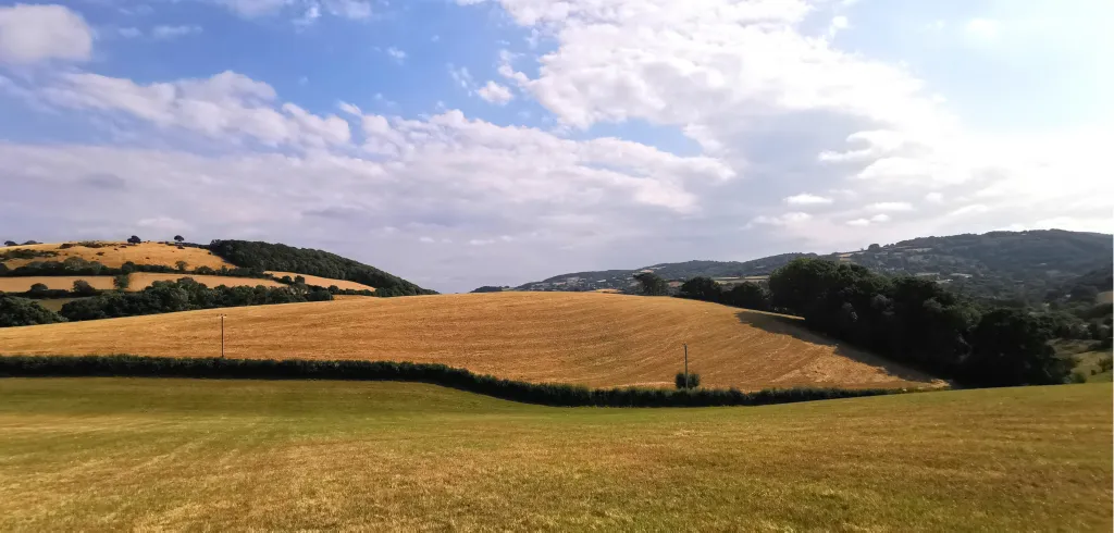 Stage 6- Dunchideock to Dunsford