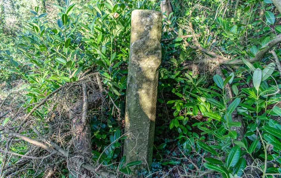 Medieval Preaching Cross, Cowley