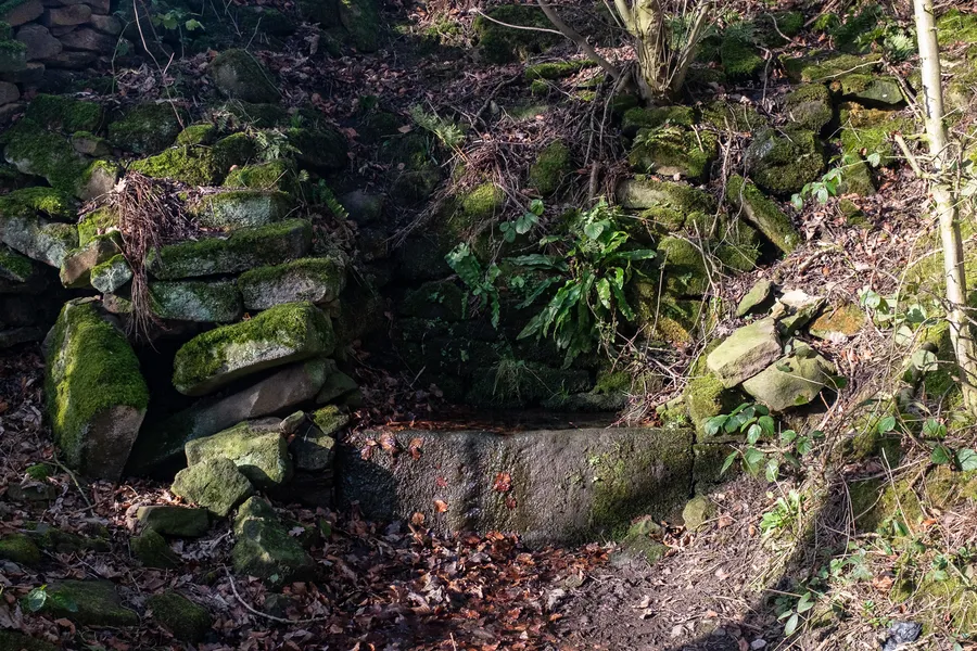 Lady Wall Well, Baslow