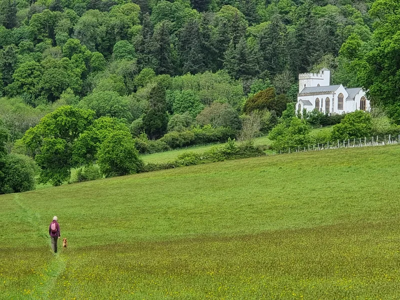 Selworthy Church in distance