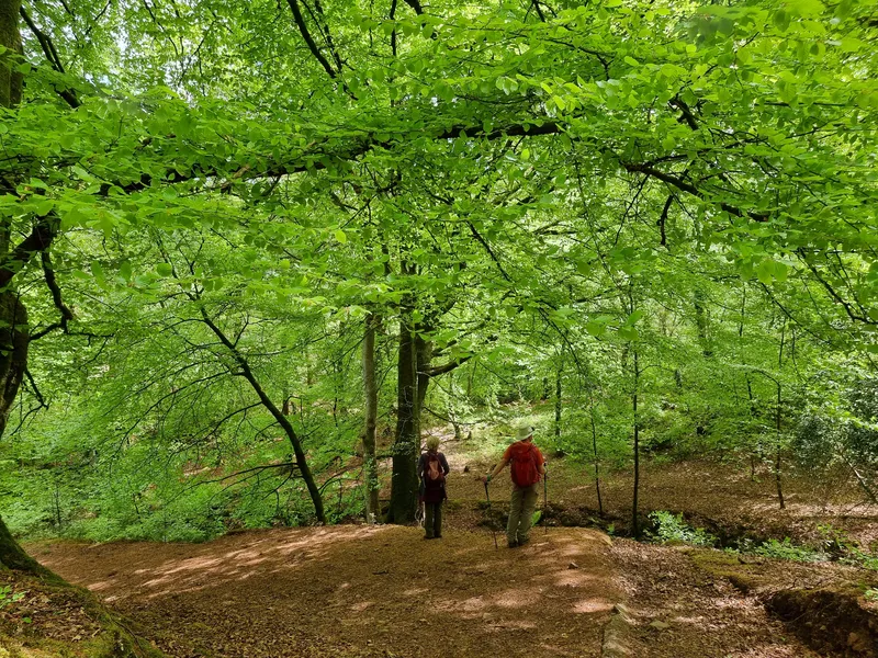 Walking Priest’s Way