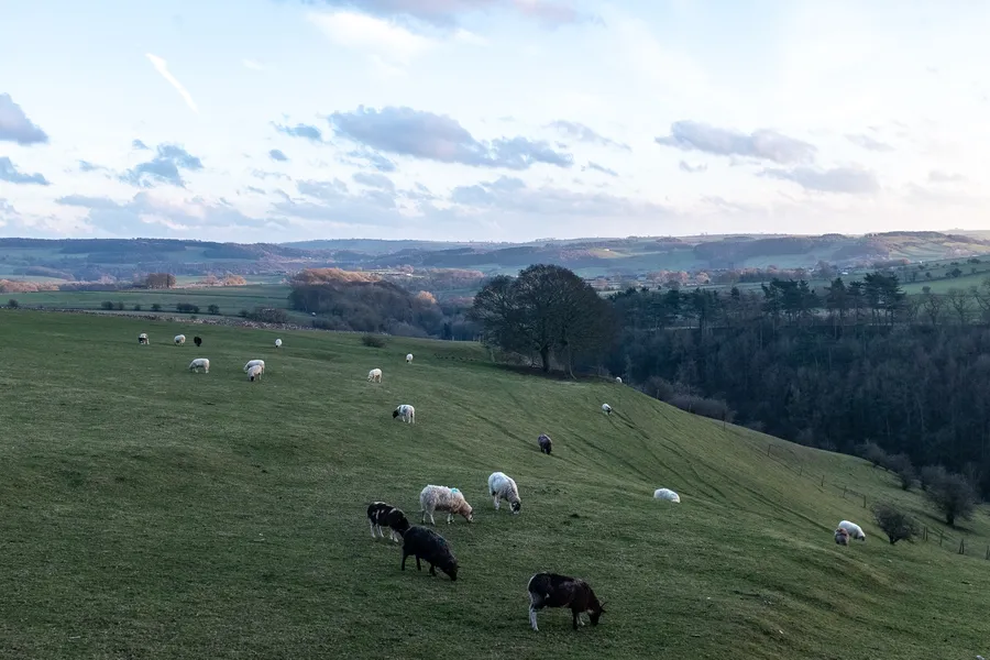 View from Lathkil Hotel, Over Haddon