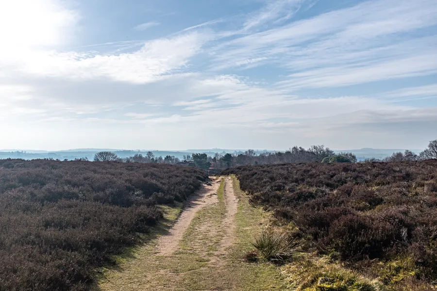 Stanton Moor with Minninglow in distance