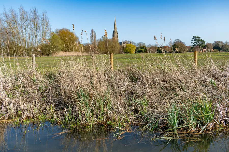 Constable View of Salisbury Cathedral, Long Bridge