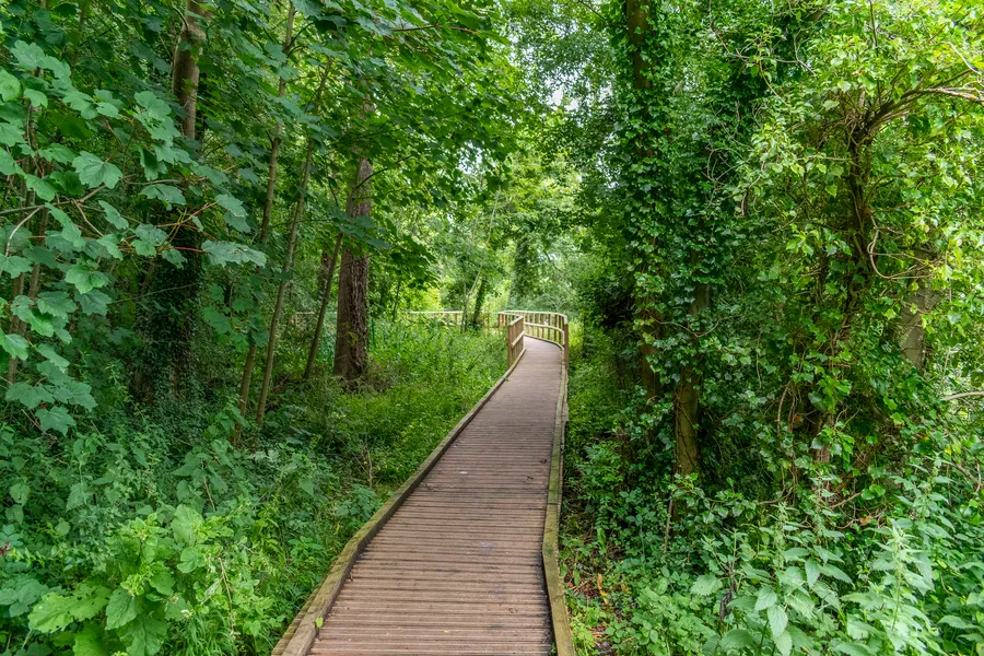 River Nene Boardwalk, lovingly made and 752 metres long