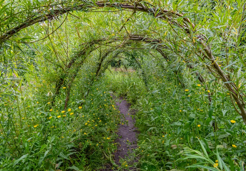 Working Willow Path