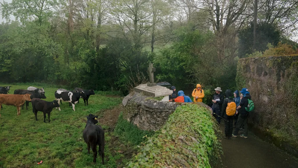 St Mogue’s Well, Ferns