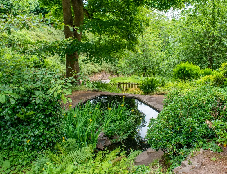 St Ann’s Well Pond (put your hands in)
