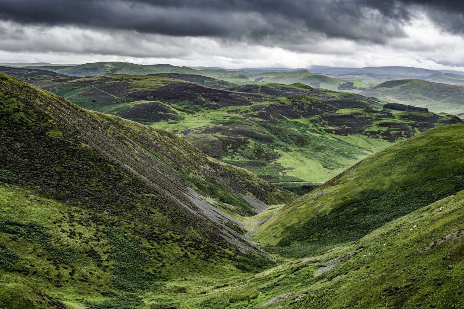 Hownam, Cheviot Hills, Scottish Borders. Picture by Chris Strickland