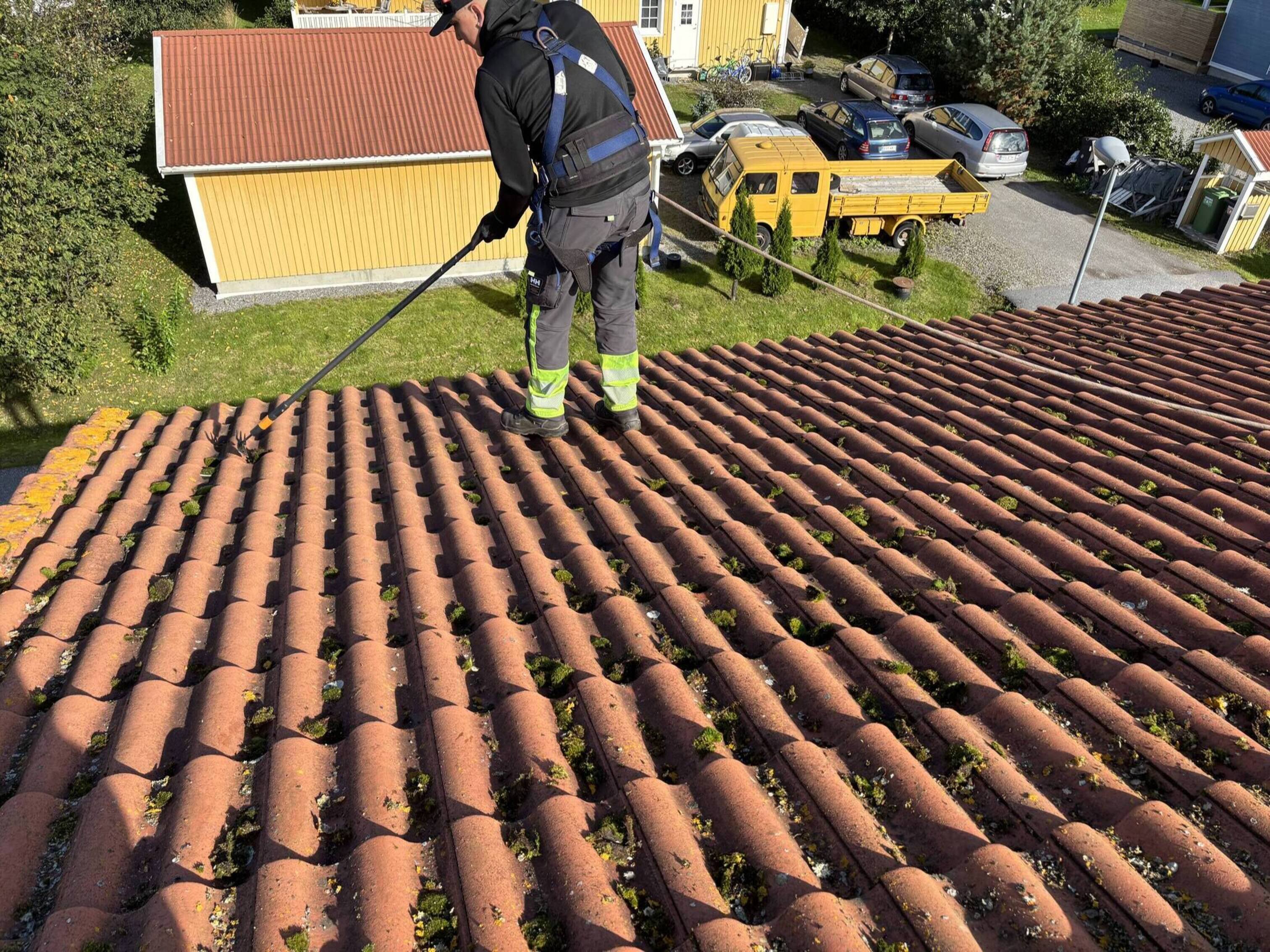 cleanor oy sammaleen poisto katolta palvelu