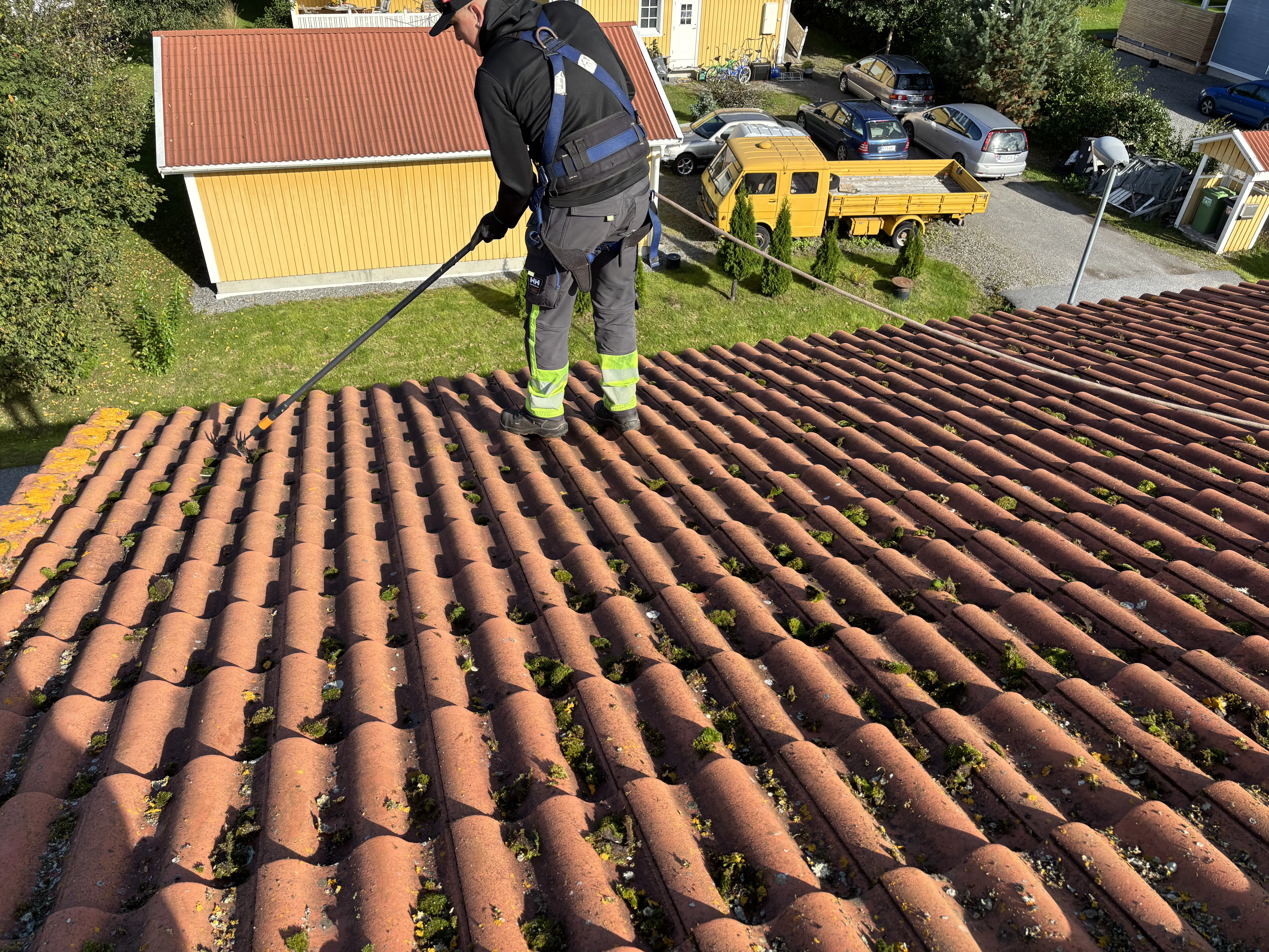 cleanor oy tilaa ilmainen kartoituskäynti