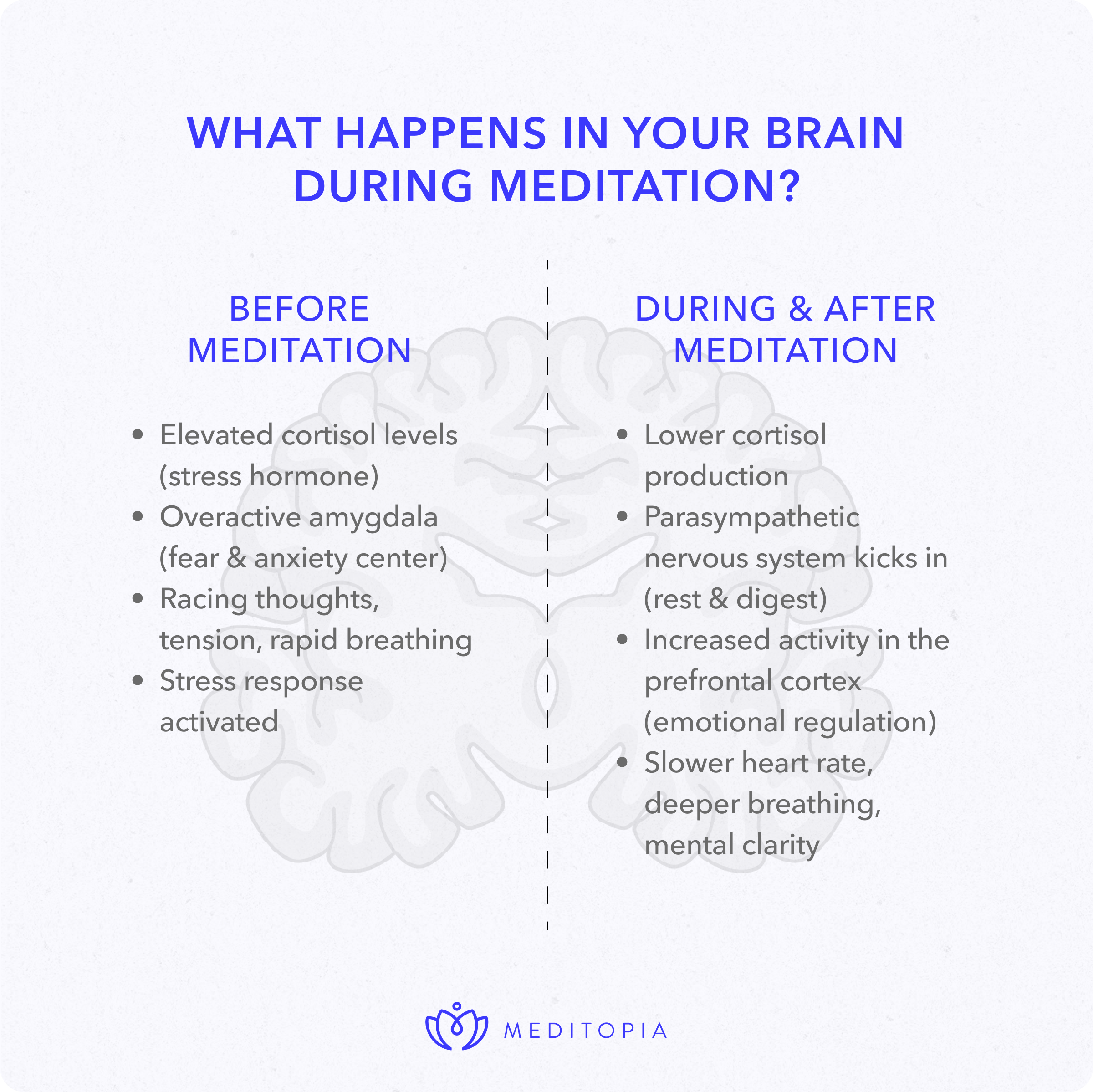 differences in your brain after meditating include lower cortisol levels, calmer nervous system, and slower heart rate