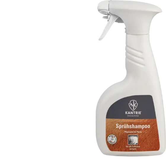KANTRIE Sprühshampoo 500 ml