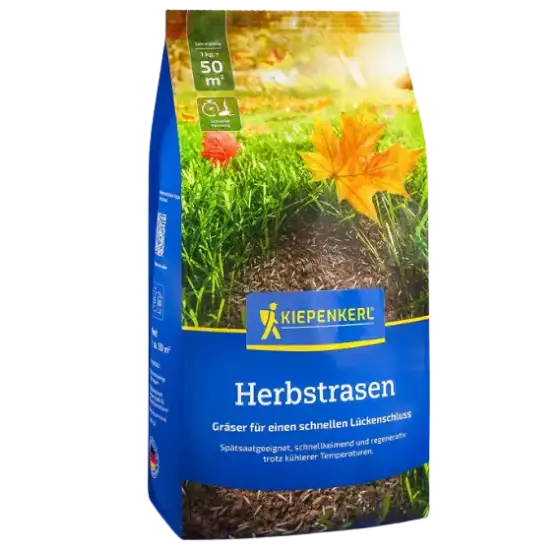 KIEPENKERL Herbstrasen 1 kg